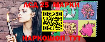 крисы Сланцы