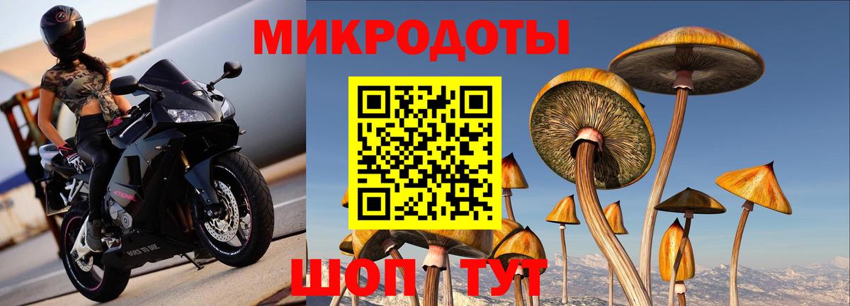 Псилоцибиновые грибы Magic Shrooms Алатырь