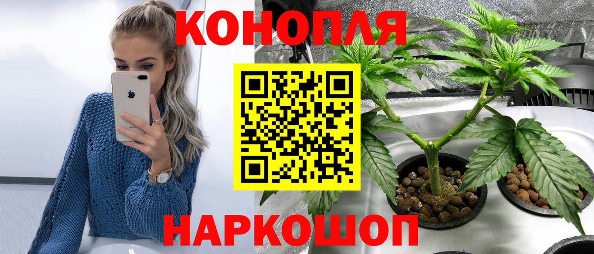 Алатырь  Бошки марихуана семена  Вход с VPN  Марихуана White Widow  Шишки марихуана ГИДРОПОН 